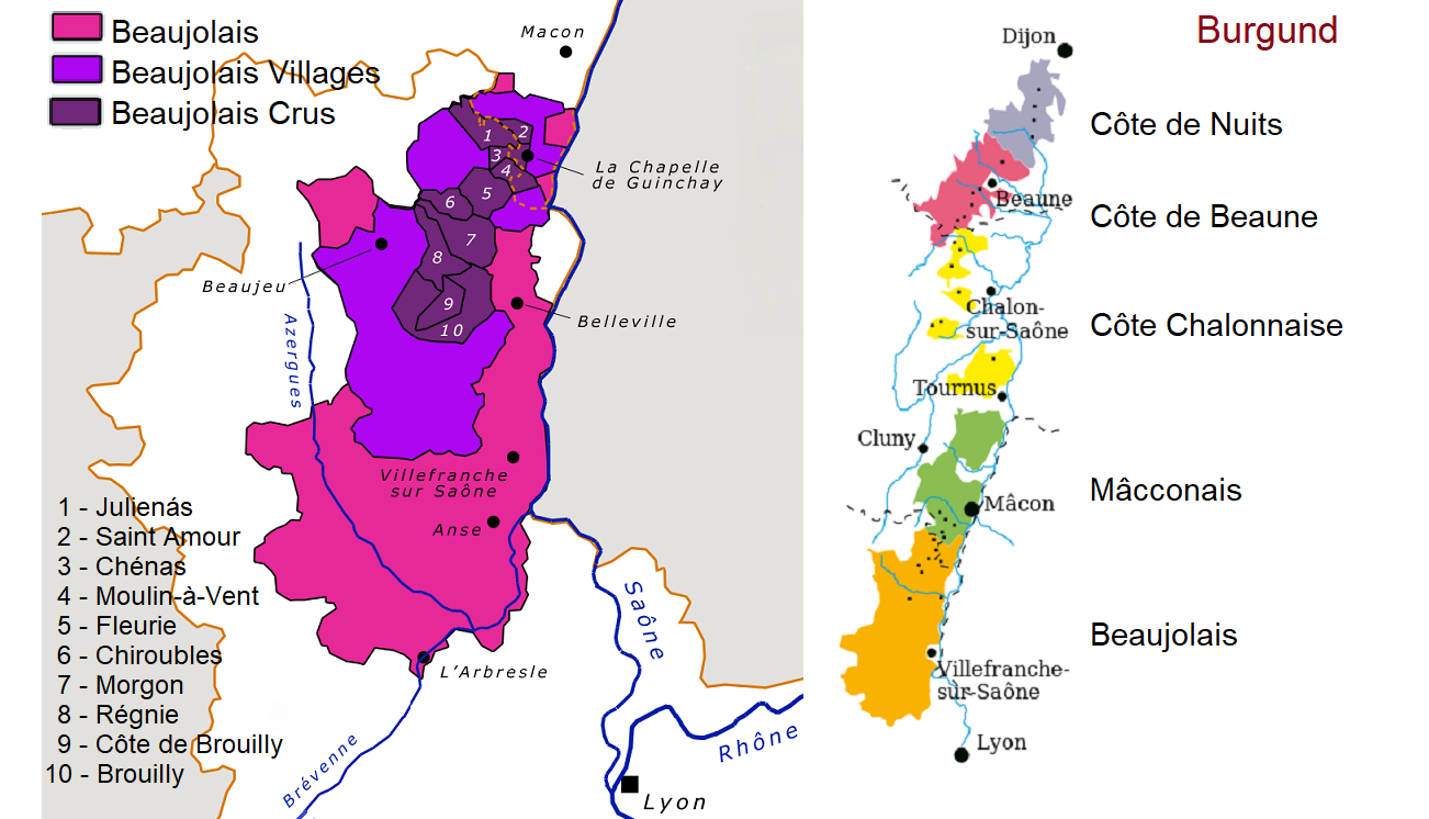 Регионы вин. Карта Бургундии винодельческая Божоле. Божоле на карте Франции. Божоле на карте Бургундии. Винные регионы Франции Божоле.