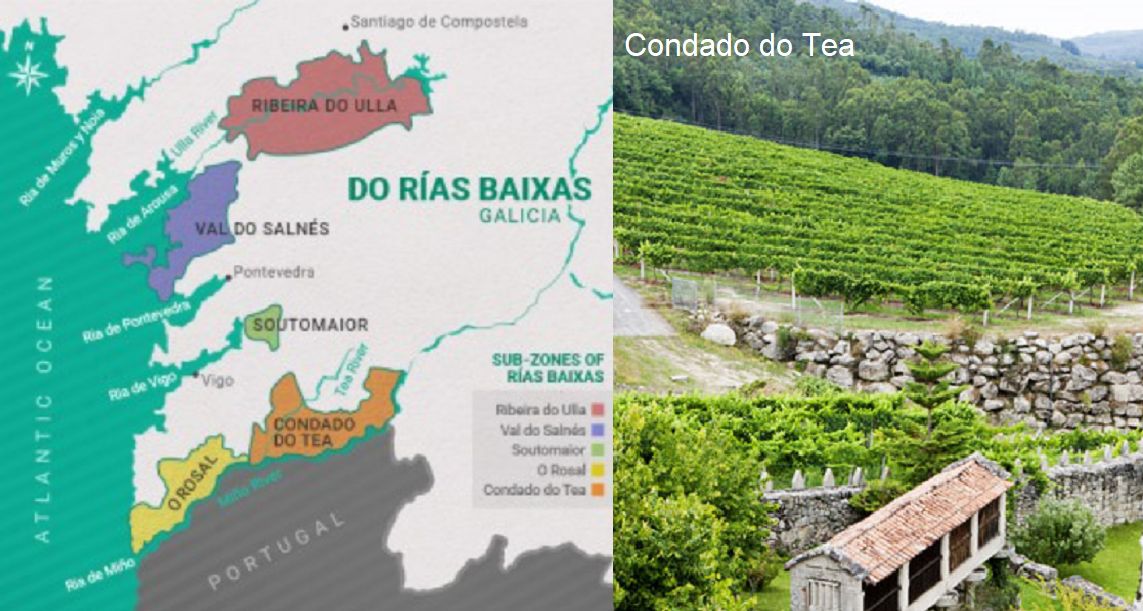 Rías Baixas - Karte und Condado do Tea Weinberge