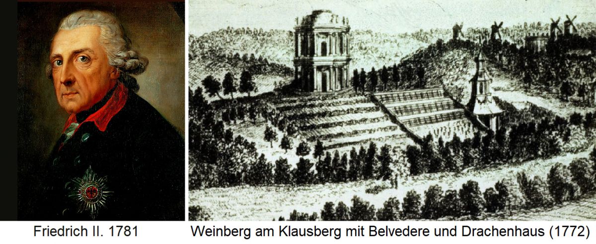 Königlicher Weinberg - Portät Friedrich II. und Weinberg mit Belvedere und Drachenhaus im Jahre 1772