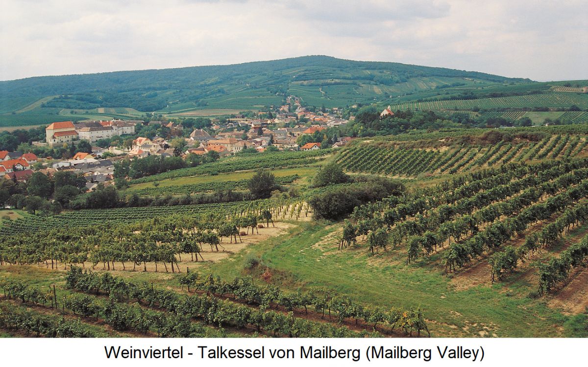 Weinviertel - Talkessel von Mailberg mit Weingärten
