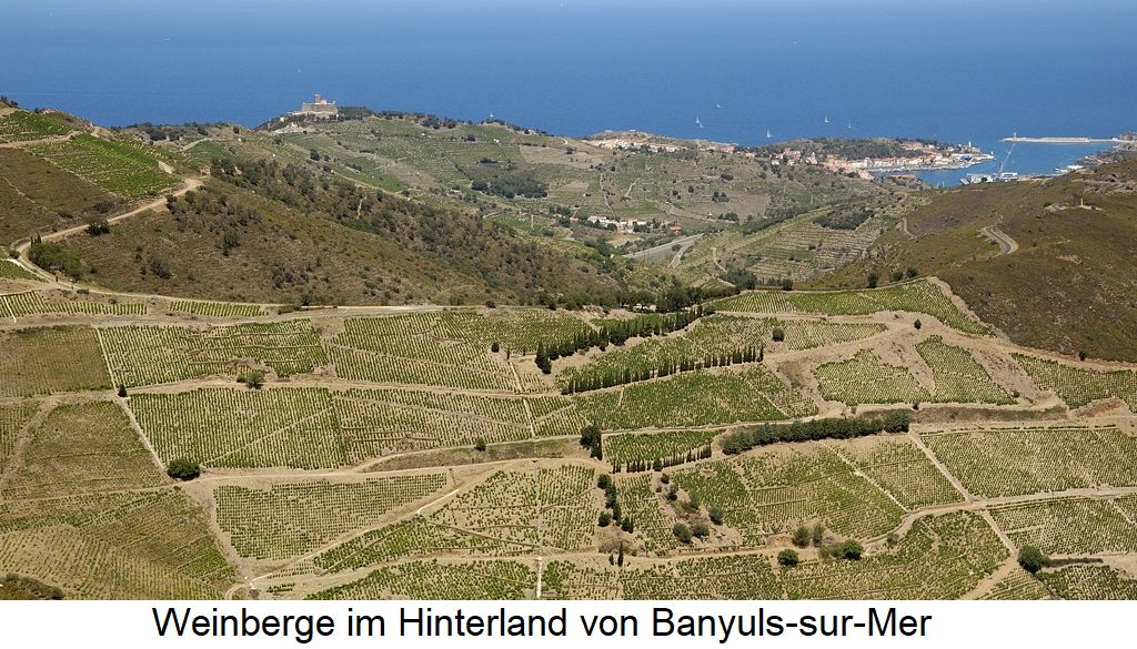 Weinberge im Hinterland von Banyuls-sur-Mer