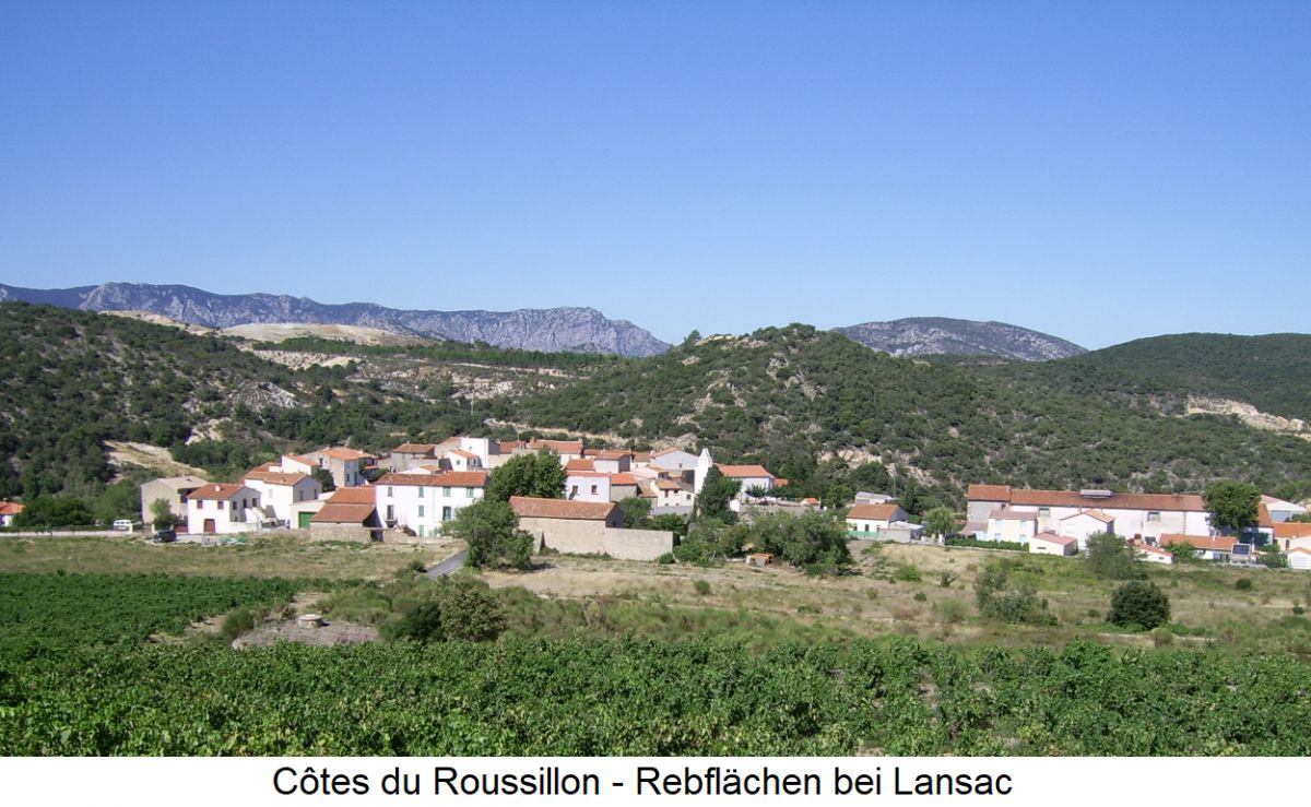 Côtes du Roussillon - Rebflächen bei Lansac