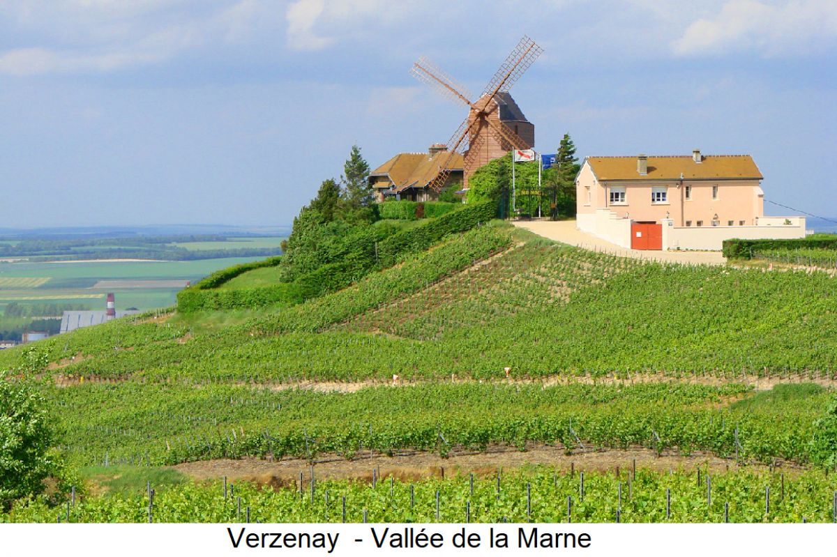 Verzenay - Vallée de la Marne