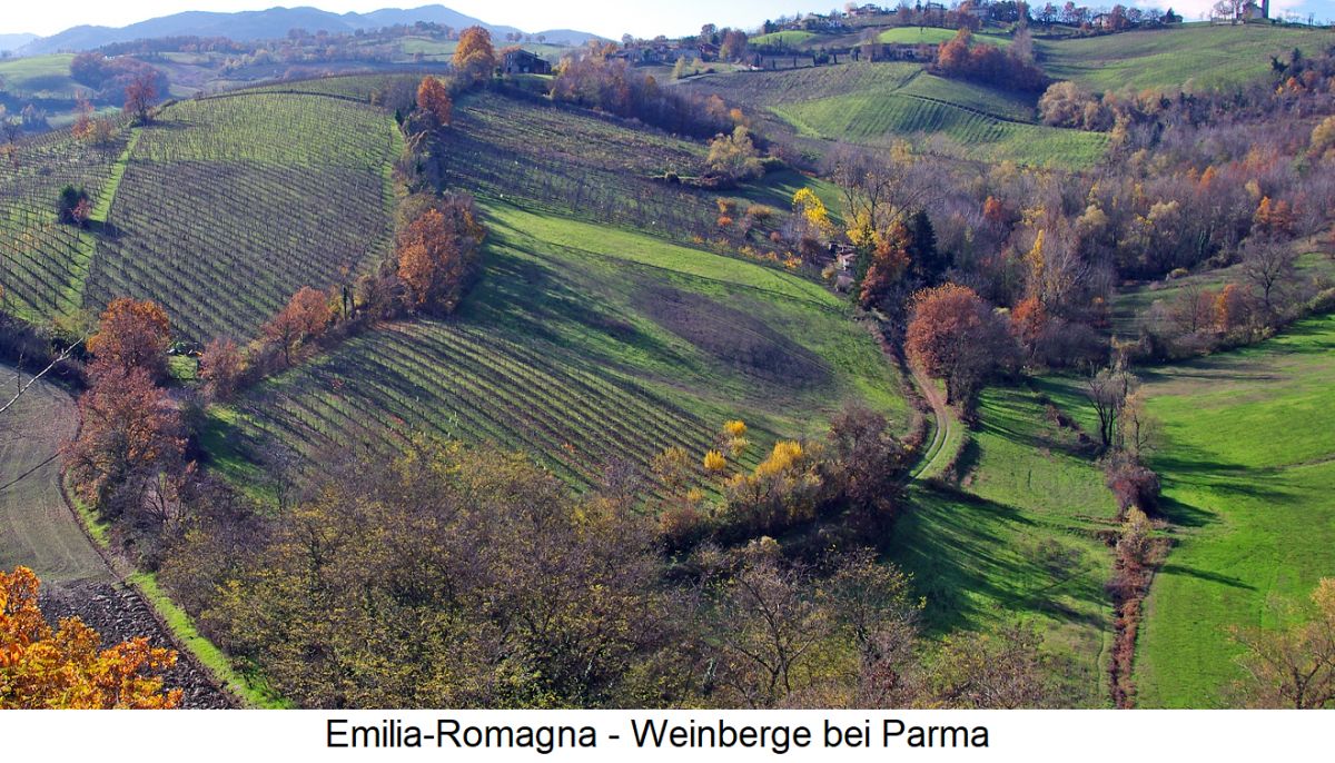 Emilia-Romagna - Weinberge bei Parma