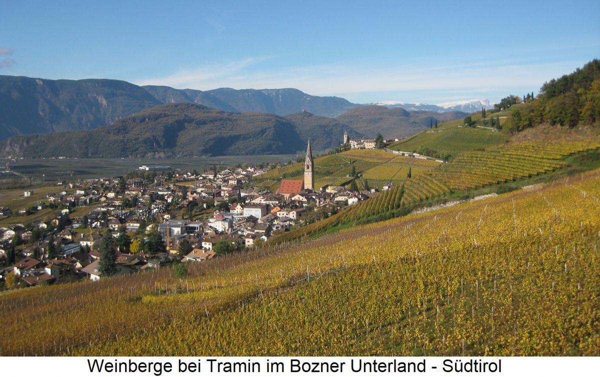Südtiroler - Weinberge bei Tramin im Bozner Unterland