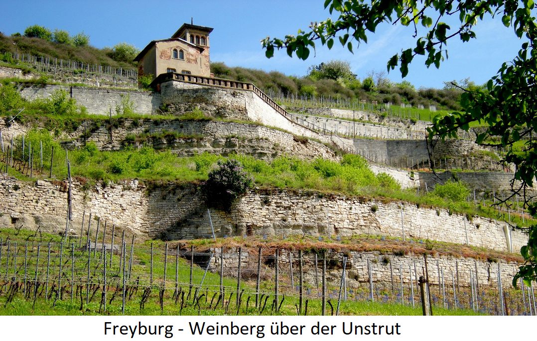 Saale-Unstrut - Freyburg - Weinberg über der Unstrut