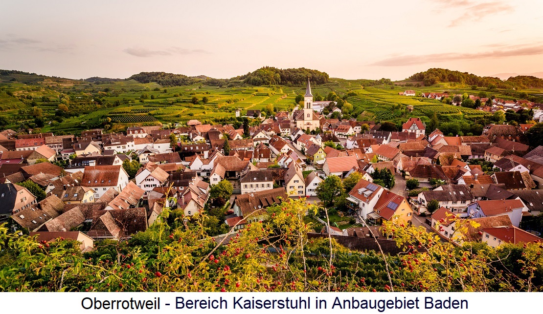 Salwey - Gemeinde Oberrotweil am Kaiserstuhl mit Weinbergen