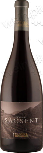 2016 Trentino DOC Pinot Nero "Vigna Saosent"