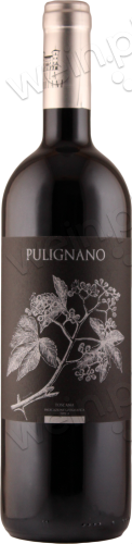 2018 Toscana IGT "Pulignano"