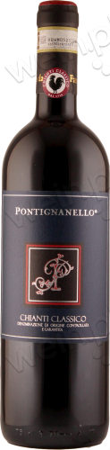 2013 Chianti Classico DOCG Riserva "Pontignanello"