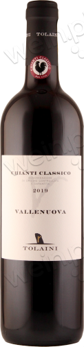 2019 Chianti Classico DOCG "Vallenuova"