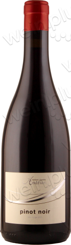 2021 Südtirol / Alto Adige DOC Pinot Noir