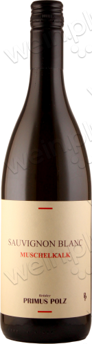 2021 Sauvignon Blanc trocken "Muschelkalk"