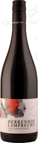2021 Pinot Noir Landwein trocken "vom Opok"